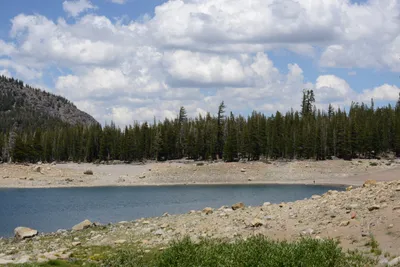 DSC_3184 (Large).JPG